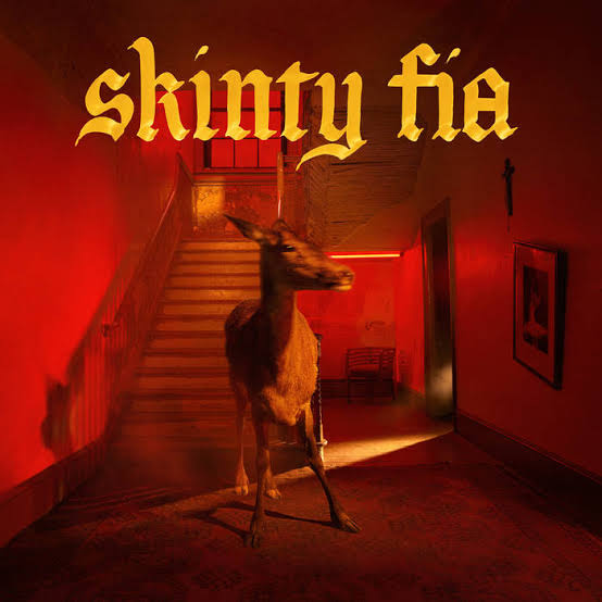 Capa de Skinty Fia
